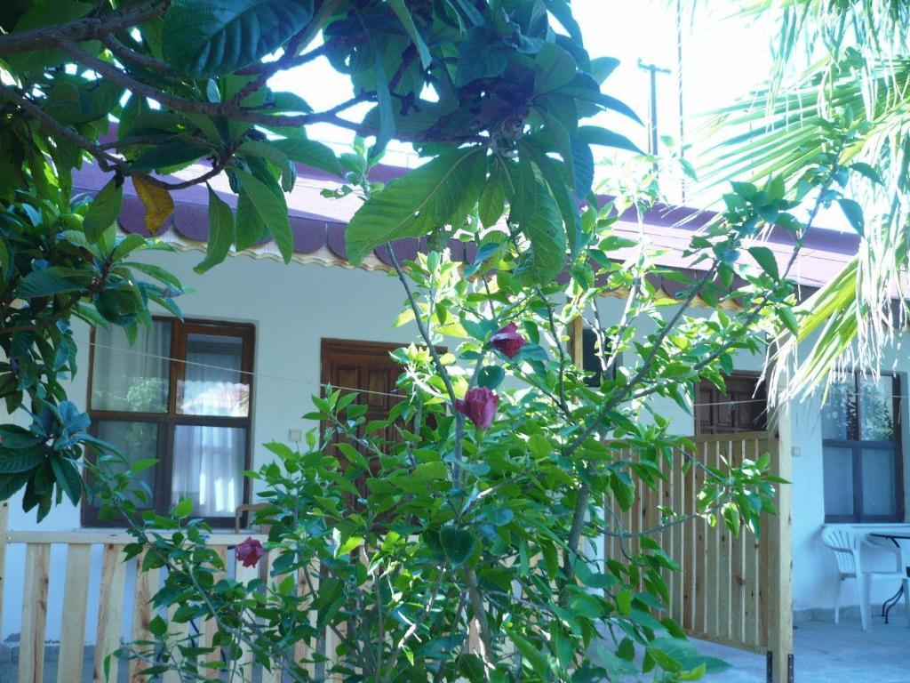Kiyi Pansiyon Çıralı Exterior foto